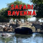 Challenge & Safari Ravenna: un’esperienza indimenticabile per tutta la famiglia!